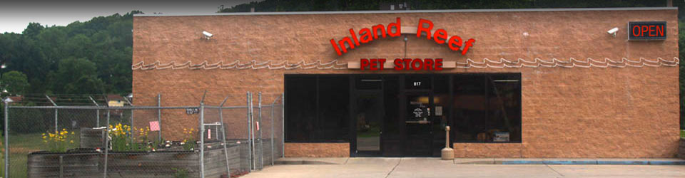 store picture